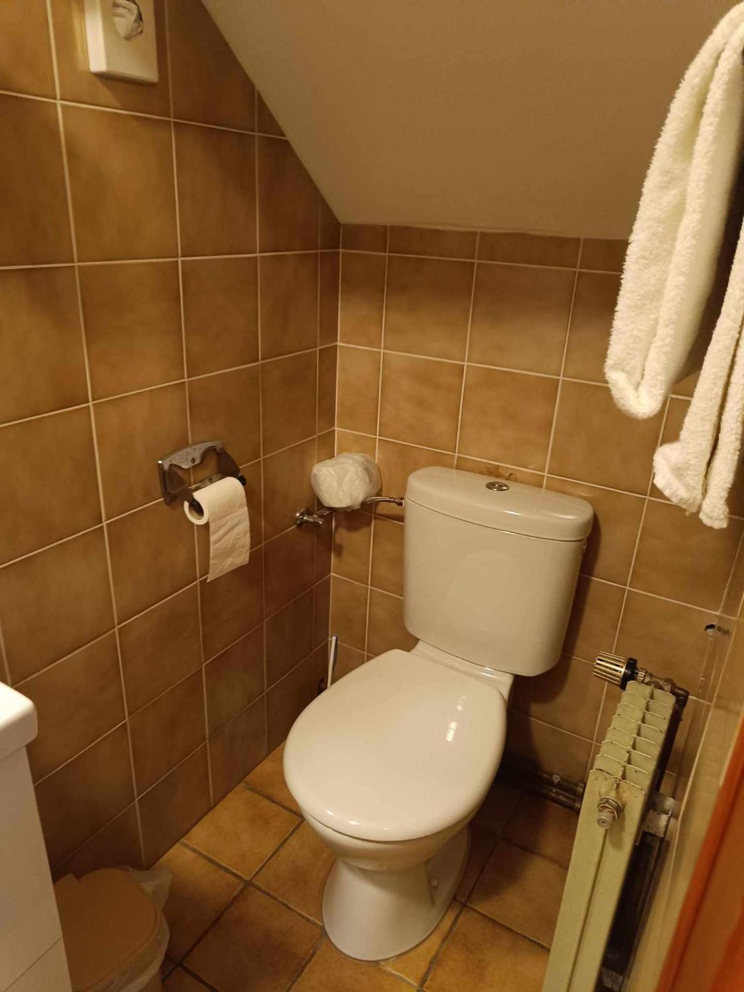 Hotel A La Croix D'Or Sessenheim 部屋 写真